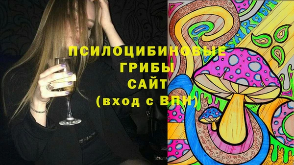 Альфа ПВП Вязьма