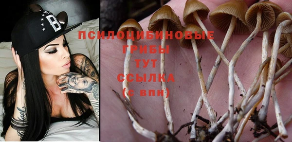 MESCALINE Вяземский