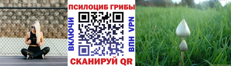 Псилоцибиновые грибы MAGIC MUSHROOMS Купить закладки Семёнов